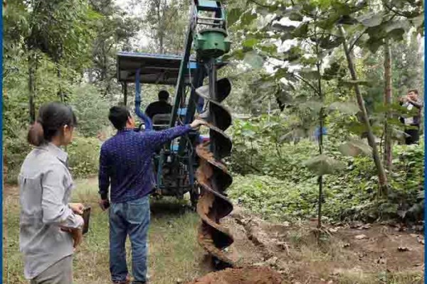 供应东泰机械DT-080轮式挖掘机种树挖坑机