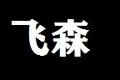 南京飞森机电科技有限公司