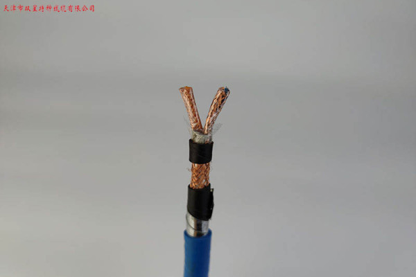 本质安全电路用控制电缆ZR-IA-DJYPVPR22 铠装 阻燃 计算机电缆定做