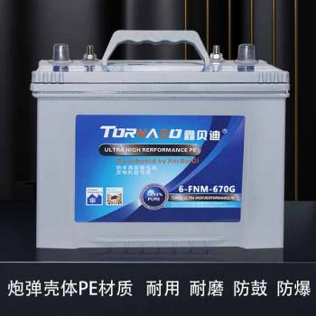 柴油发电机组配套电池6-FNM-670G
