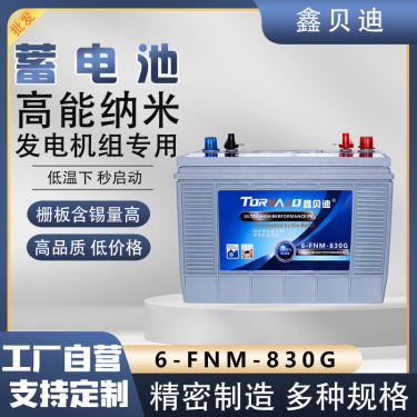 燃气发电机组蓄电池6-FNM-830G