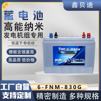燃氣發電機組蓄電池6-FNM-830G