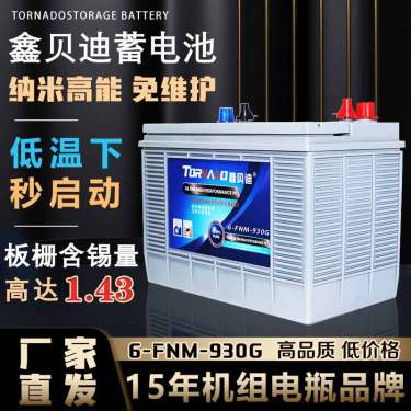 移动式水泵蓄电池6-FNM-930G