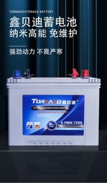 发电机组蓄电池6-FNM-720G
