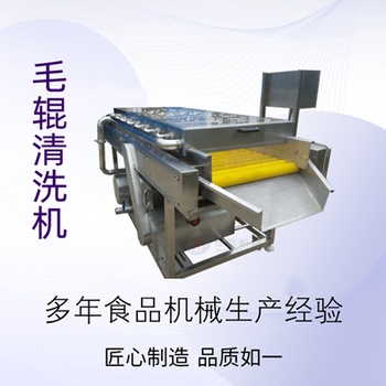 供应佳鸿定制其他扇贝去泥清洗设备 不锈钢毛辊去皮机设备