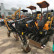 上海二手挖掘机市场出售20小型旧挖掘机