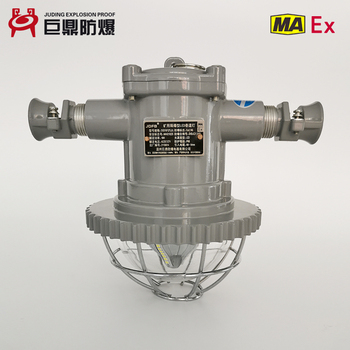 供应巨鼎防爆DGS18/127L(A)选矿机械仪器与仪表