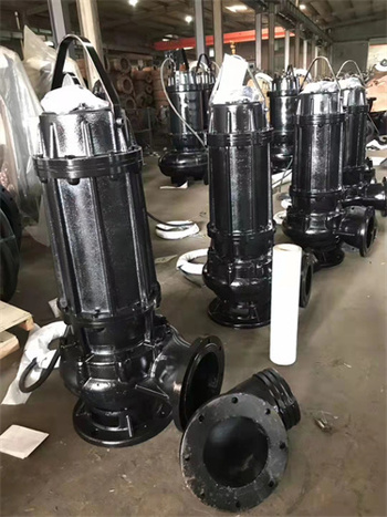 潜水排污泵 一体化泵站潜水排污泵
