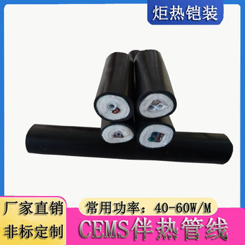 供应安徽铠装伴热管cems,采样加热管,聚四氟双管,电伴热管